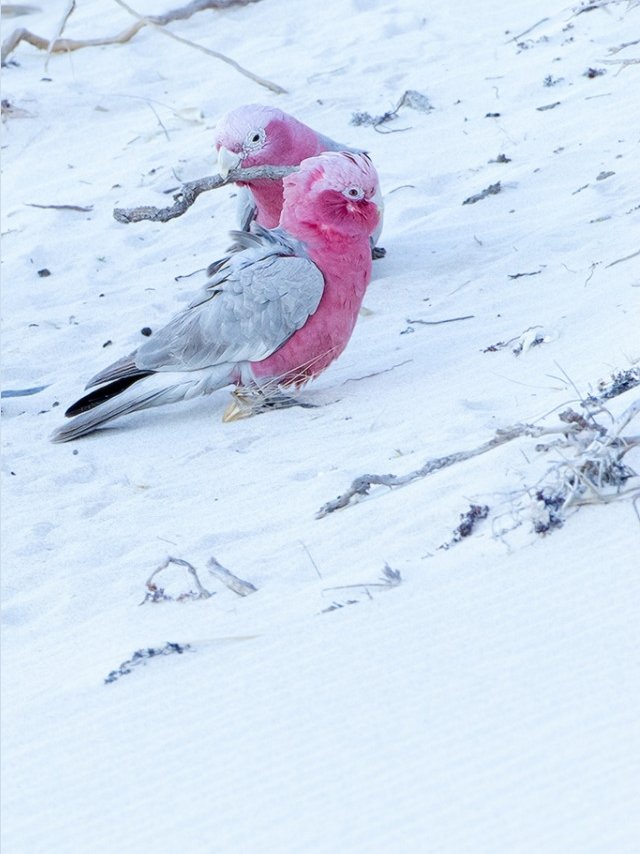 Зрение с торической ИОЛ