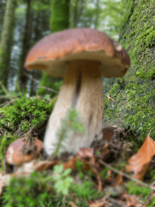 Зрение с монофокальной ИОЛ