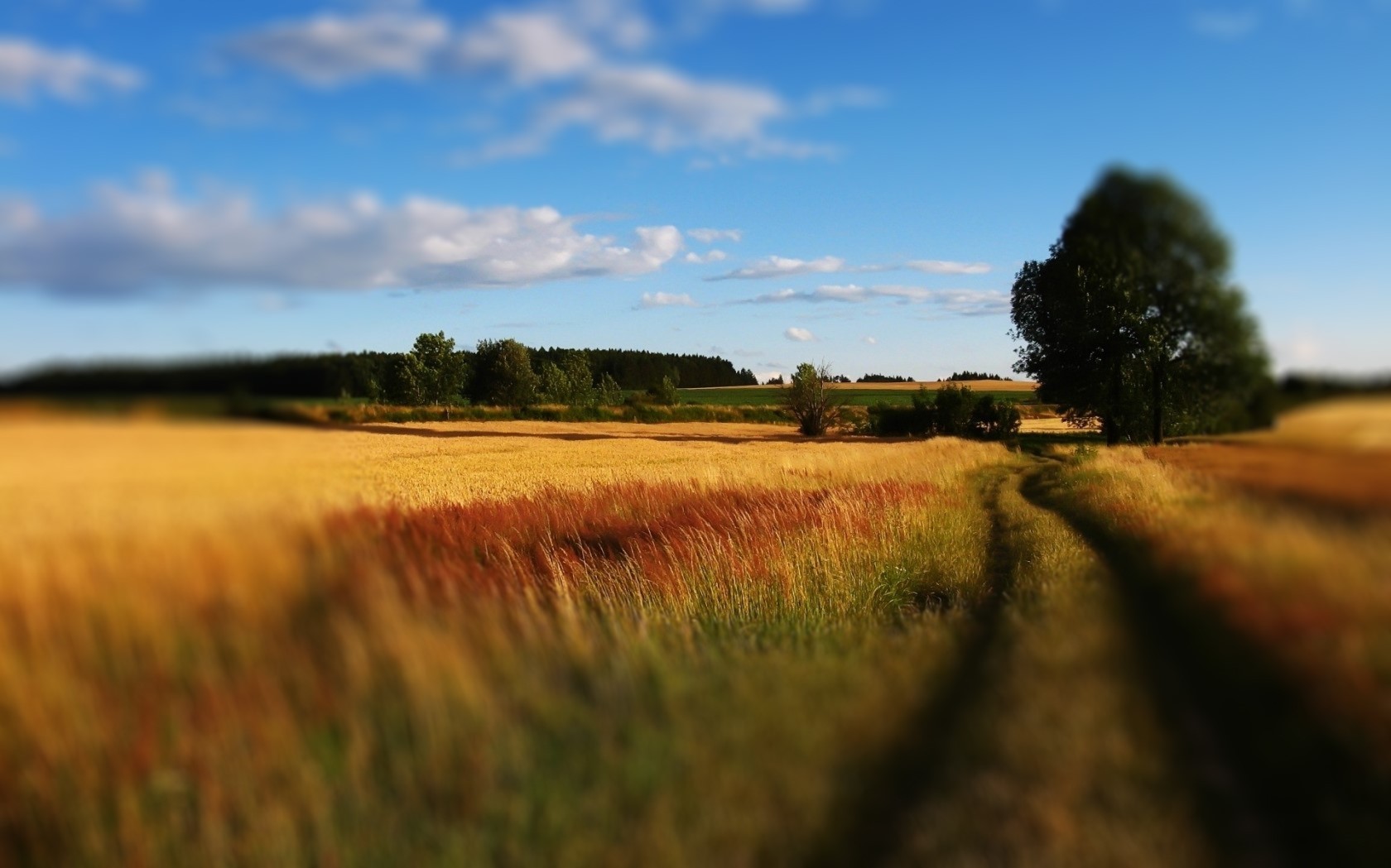 Периферическое зрение – что это такое?