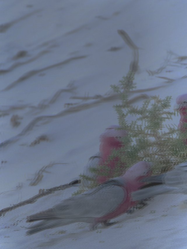 Зрение при катаракте и астигматизме