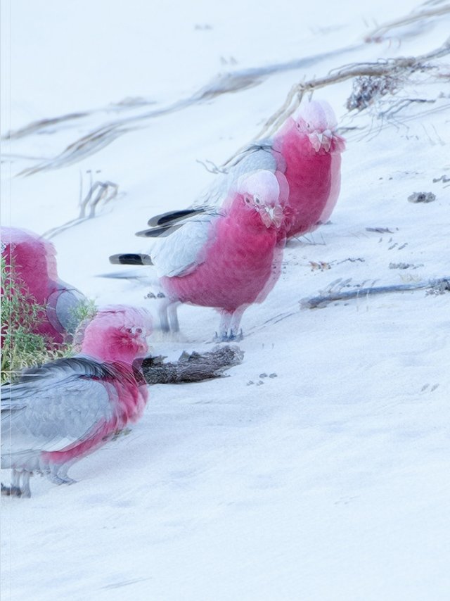 Зрение при астигматизме