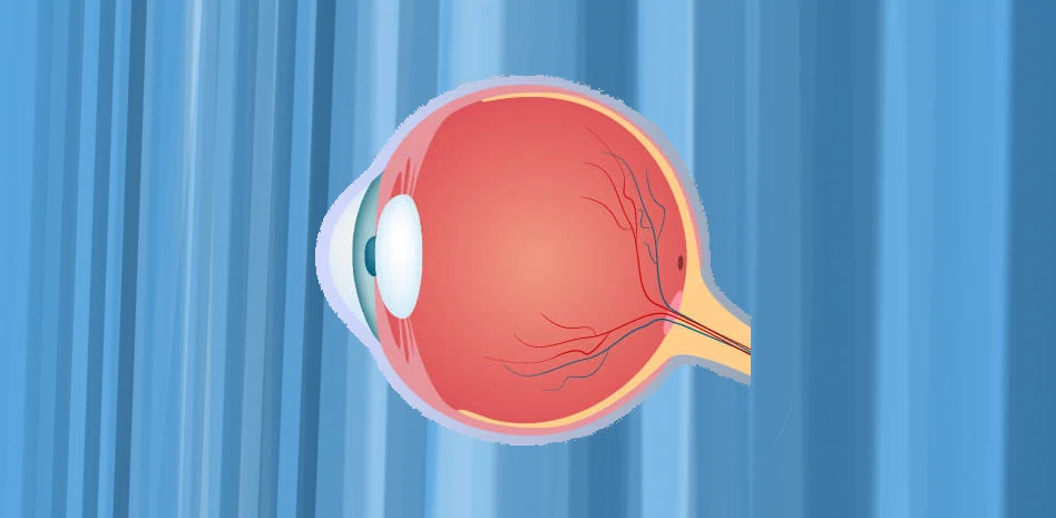 Врожденный и приобретенный амавроз