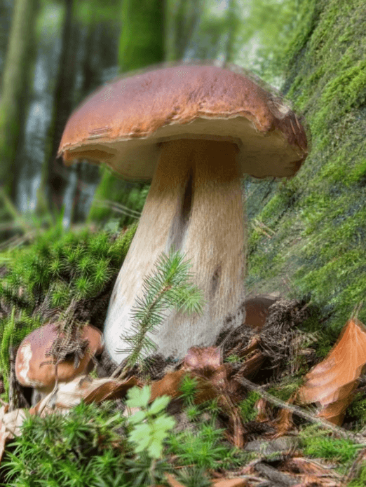 Зрение при астигматизме