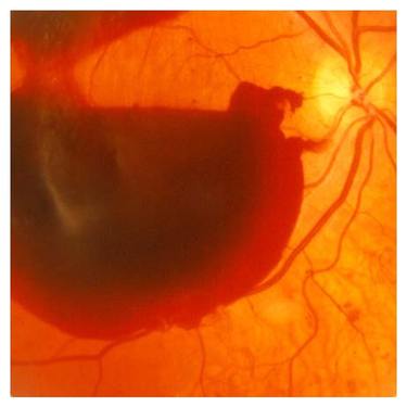 Оборудование последнего поколения